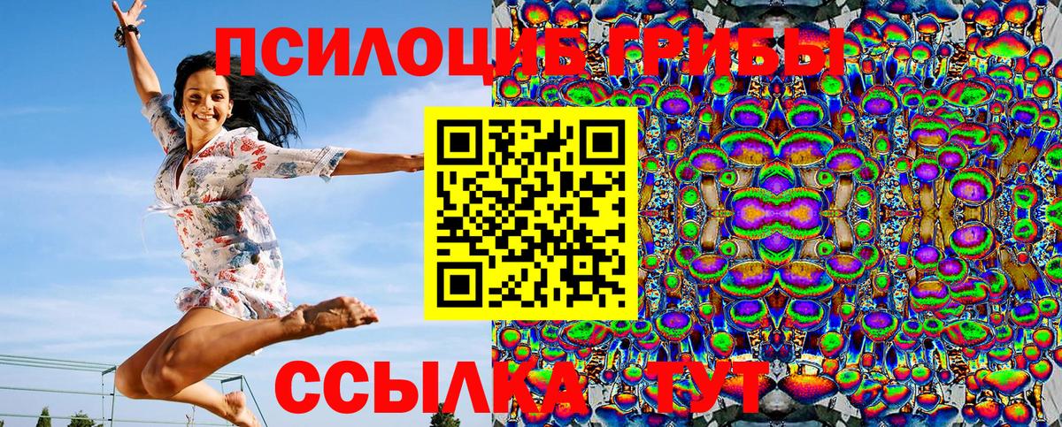 Чусовой  где купить наркоту  Вход с VPN  Псилоцибиновые грибы Psilocybine cubensis 